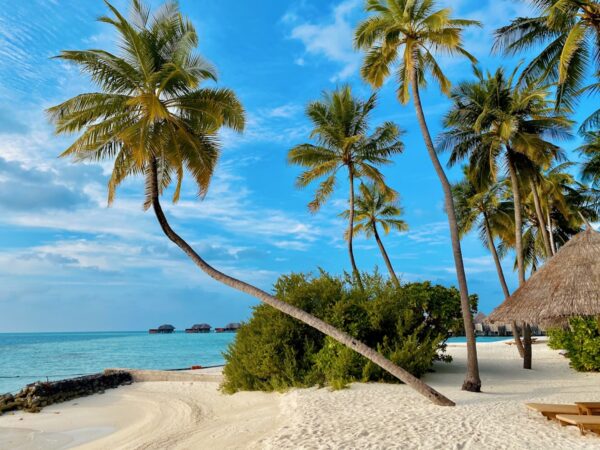 Île paradisiaque océan Indien plage turquoise luxe Seychelles