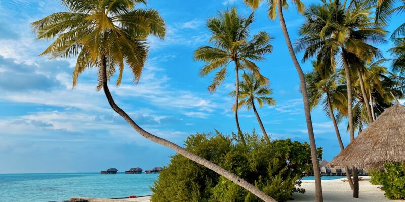 Île paradisiaque océan Indien plage turquoise luxe Seychelles