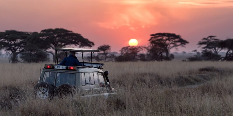 Safari luxe Afrique savane éléphant vie sauvage Serengeti